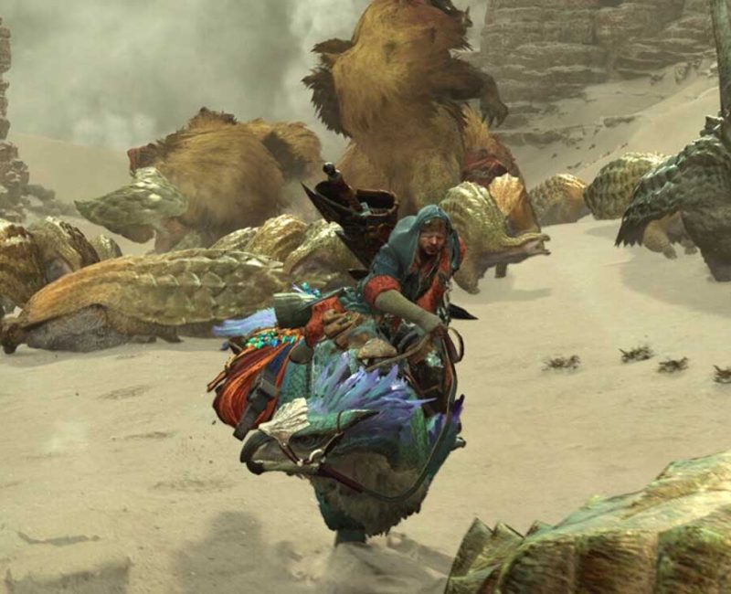 monster hunter wilds