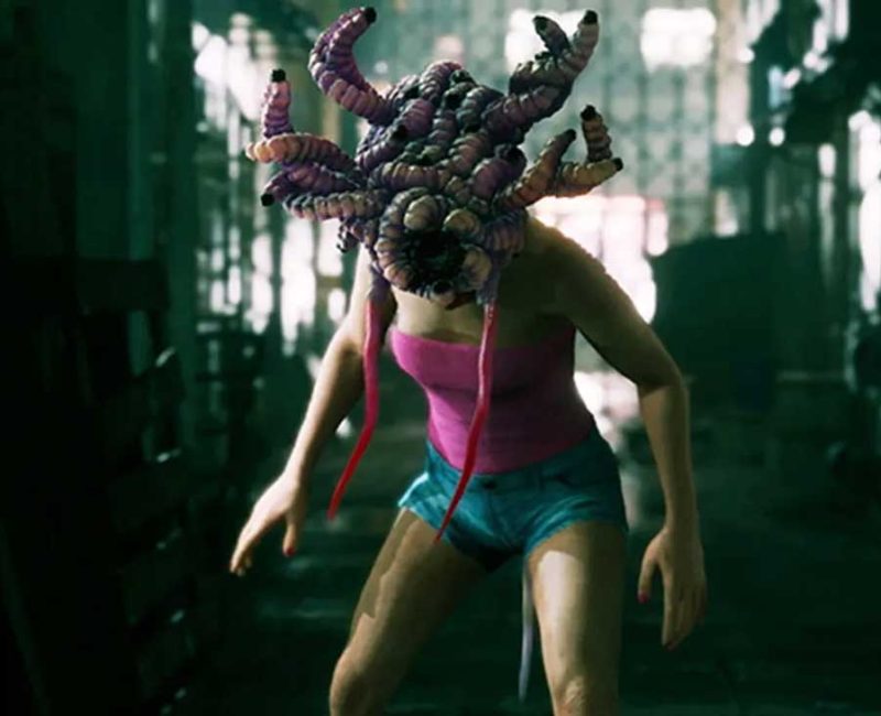 slitterhead