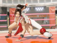 dead or alive 6 last round