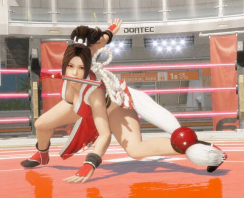 dead or alive 6 last round