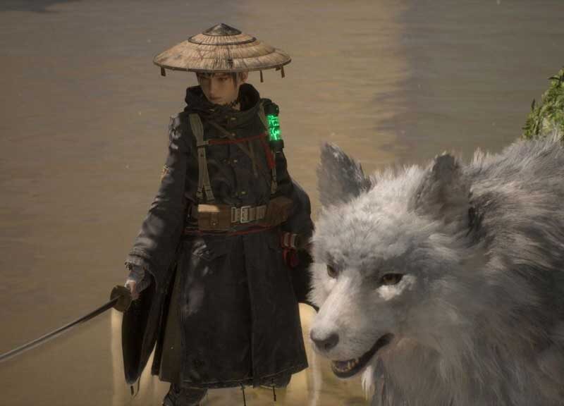 beast of reincarnation