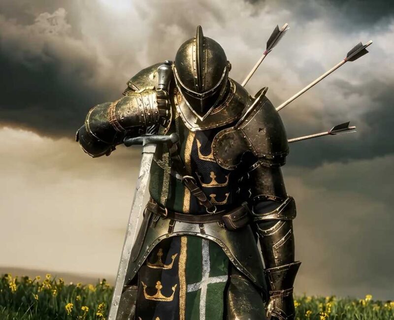 wardens of avalon